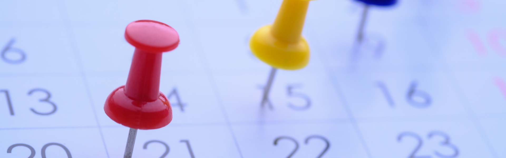 calendar with pins